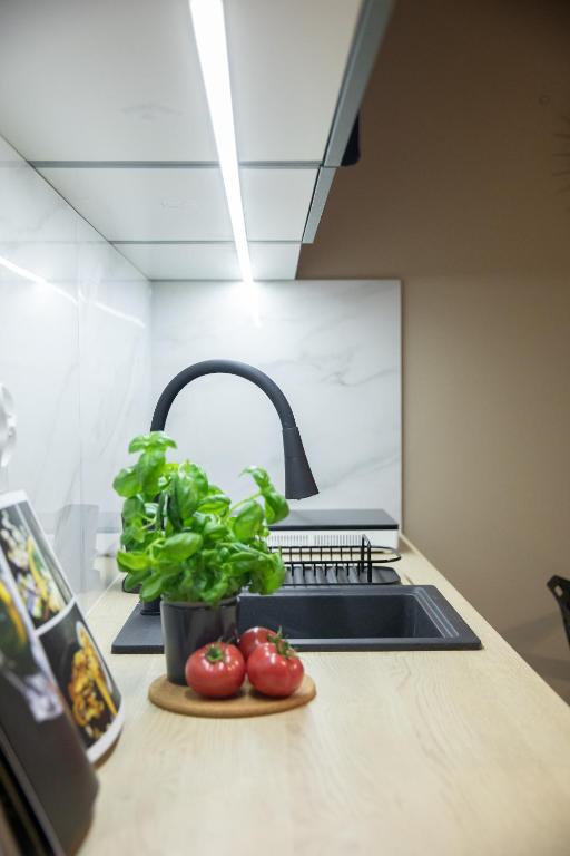 miniStudios Habicha by VAYA STAYS M2 – zdjęcie 5